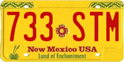 NM license plate 733STM