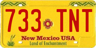 NM license plate 733TNT