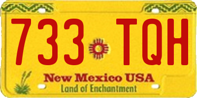 NM license plate 733TQH
