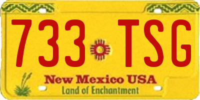 NM license plate 733TSG