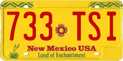 NM license plate 733TSI