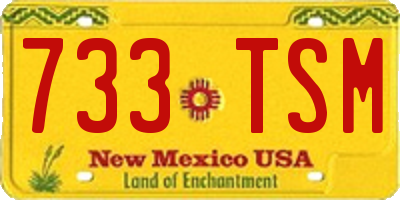 NM license plate 733TSM
