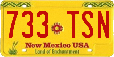 NM license plate 733TSN