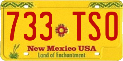 NM license plate 733TSO