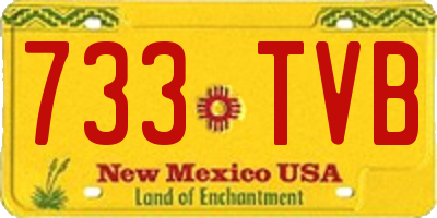 NM license plate 733TVB