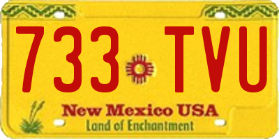 NM license plate 733TVU