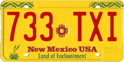 NM license plate 733TXI