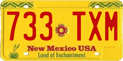 NM license plate 733TXM