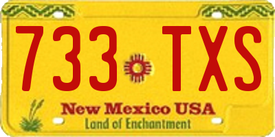 NM license plate 733TXS