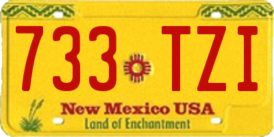 NM license plate 733TZI