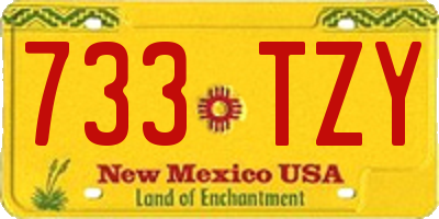 NM license plate 733TZY