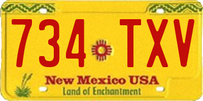 NM license plate 734TXV