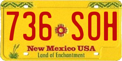NM license plate 736SOH