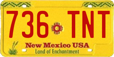NM license plate 736TNT