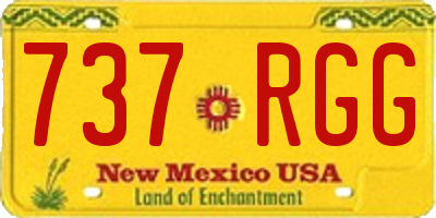 NM license plate 737RGG