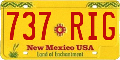 NM license plate 737RIG