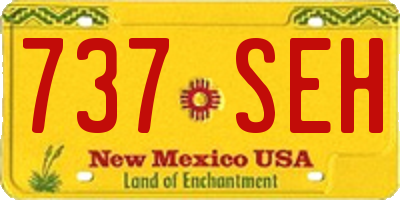 NM license plate 737SEH