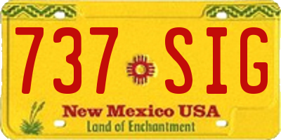 NM license plate 737SIG