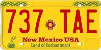 NM license plate 737TAE