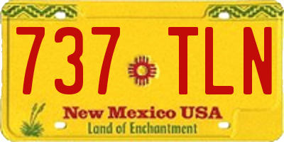 NM license plate 737TLN
