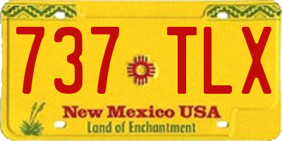 NM license plate 737TLX