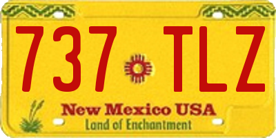 NM license plate 737TLZ