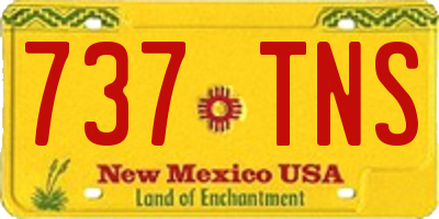 NM license plate 737TNS