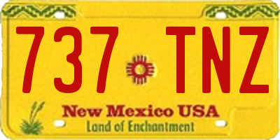 NM license plate 737TNZ