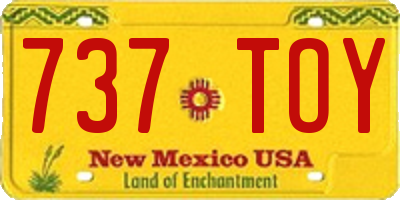 NM license plate 737TOY