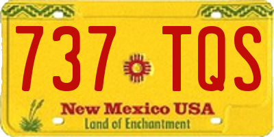 NM license plate 737TQS