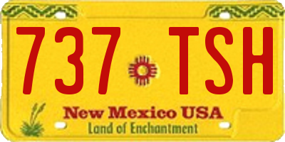 NM license plate 737TSH