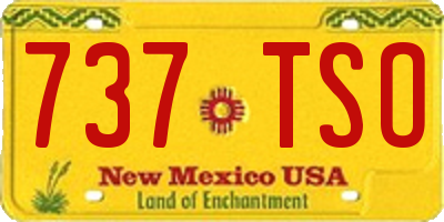 NM license plate 737TSO