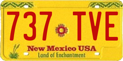 NM license plate 737TVE