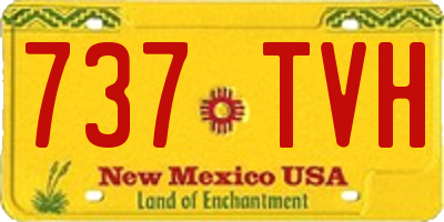 NM license plate 737TVH