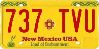 NM license plate 737TVU