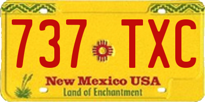 NM license plate 737TXC