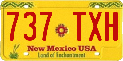 NM license plate 737TXH