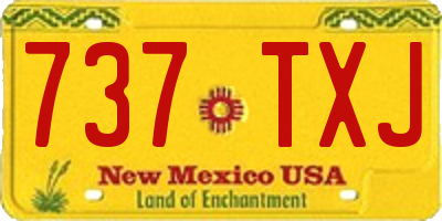 NM license plate 737TXJ