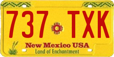 NM license plate 737TXK