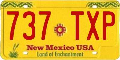 NM license plate 737TXP