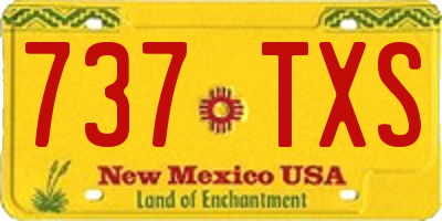 NM license plate 737TXS