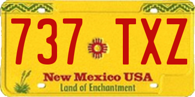 NM license plate 737TXZ