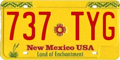 NM license plate 737TYG