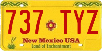 NM license plate 737TYZ