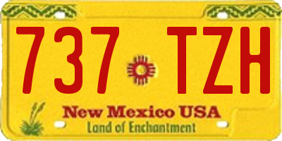 NM license plate 737TZH