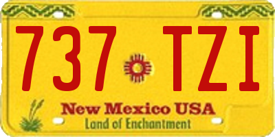 NM license plate 737TZI