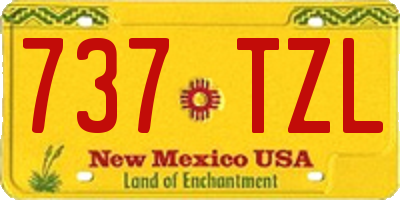 NM license plate 737TZL