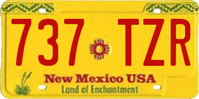 NM license plate 737TZR