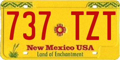 NM license plate 737TZT