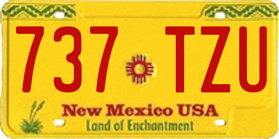 NM license plate 737TZU